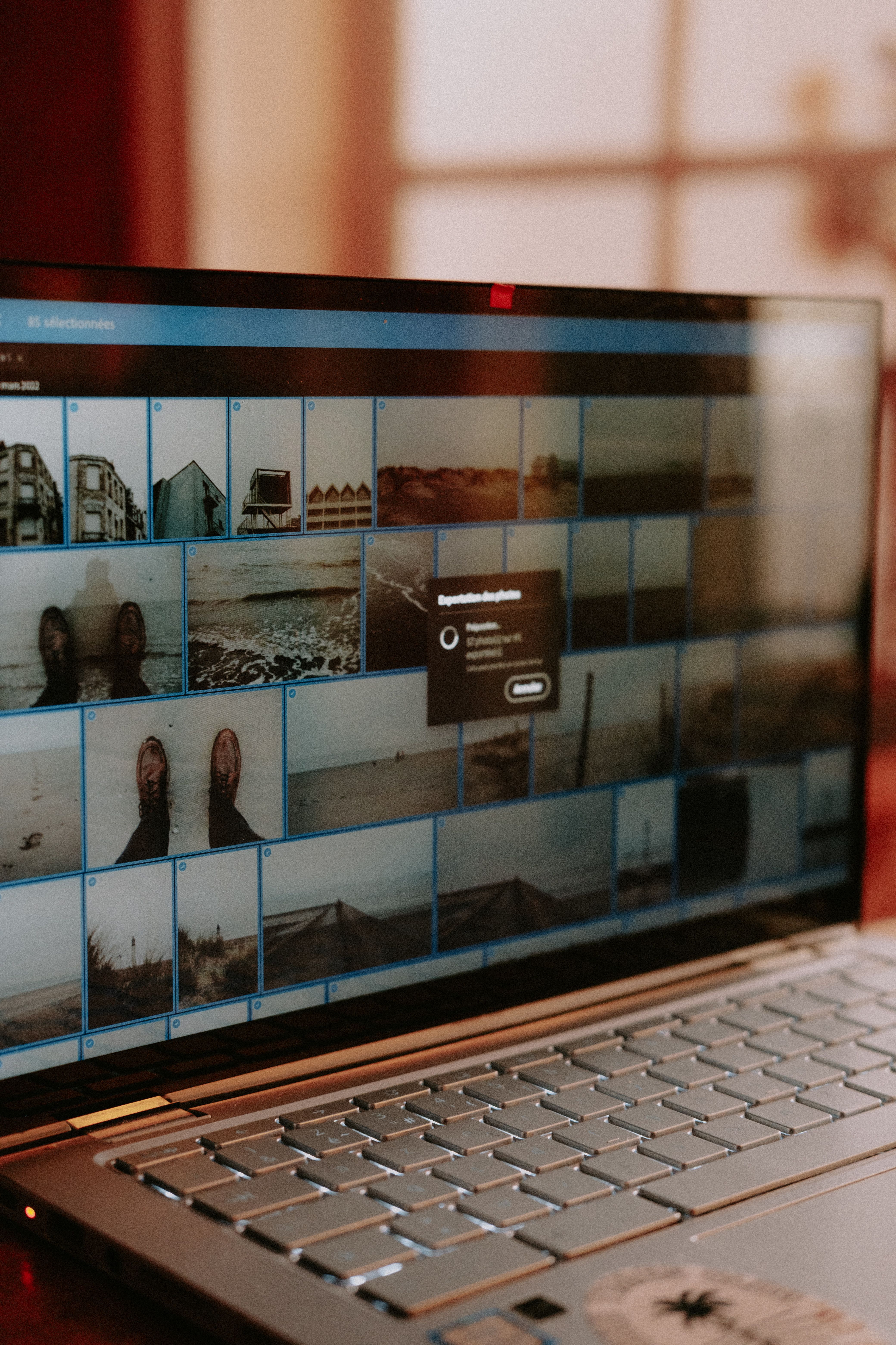A close-up view of a laptop screen running photo editing software showcasing digital images.