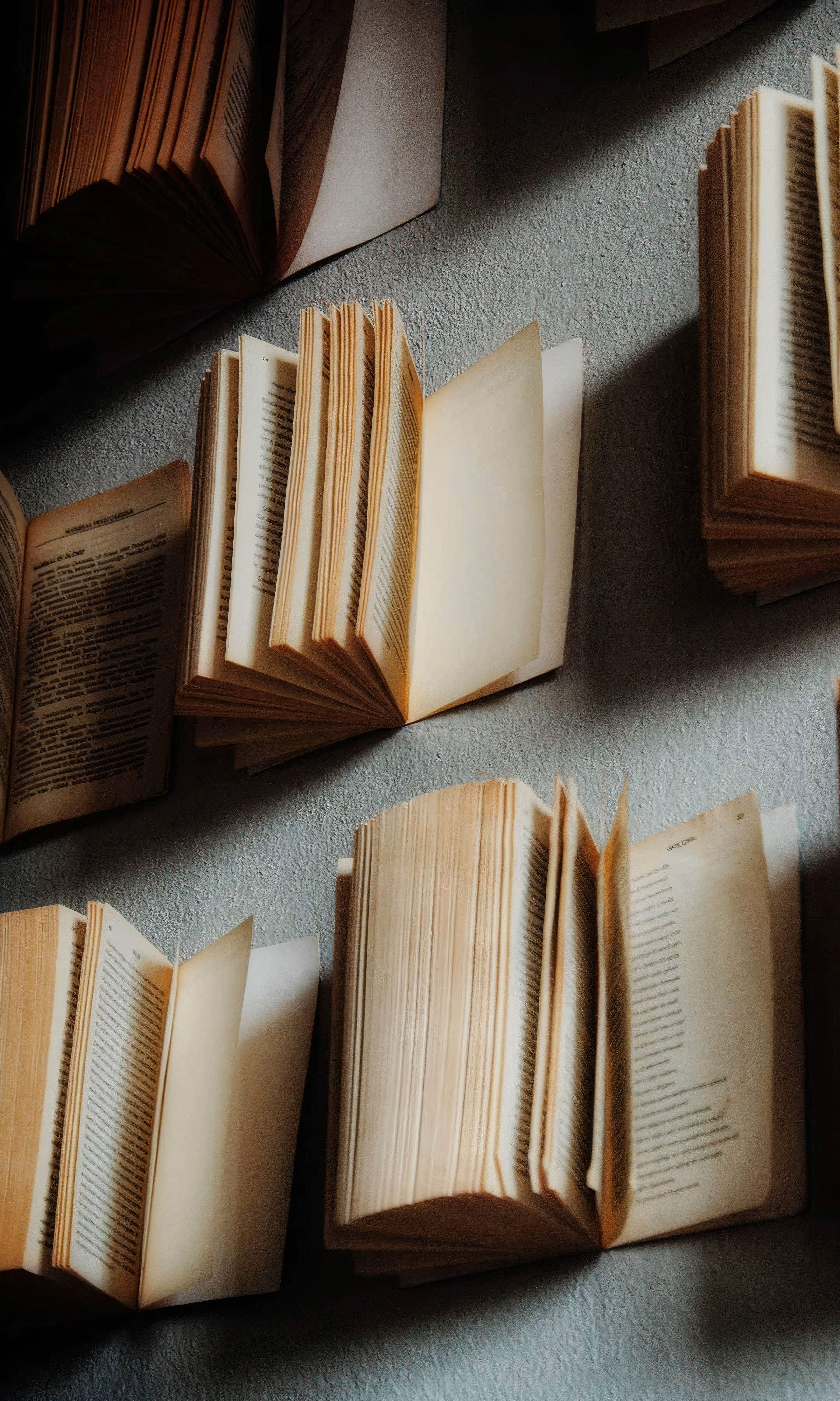 Array of open vintage books displayed on a vertical surface, creating artistic literary decor.
