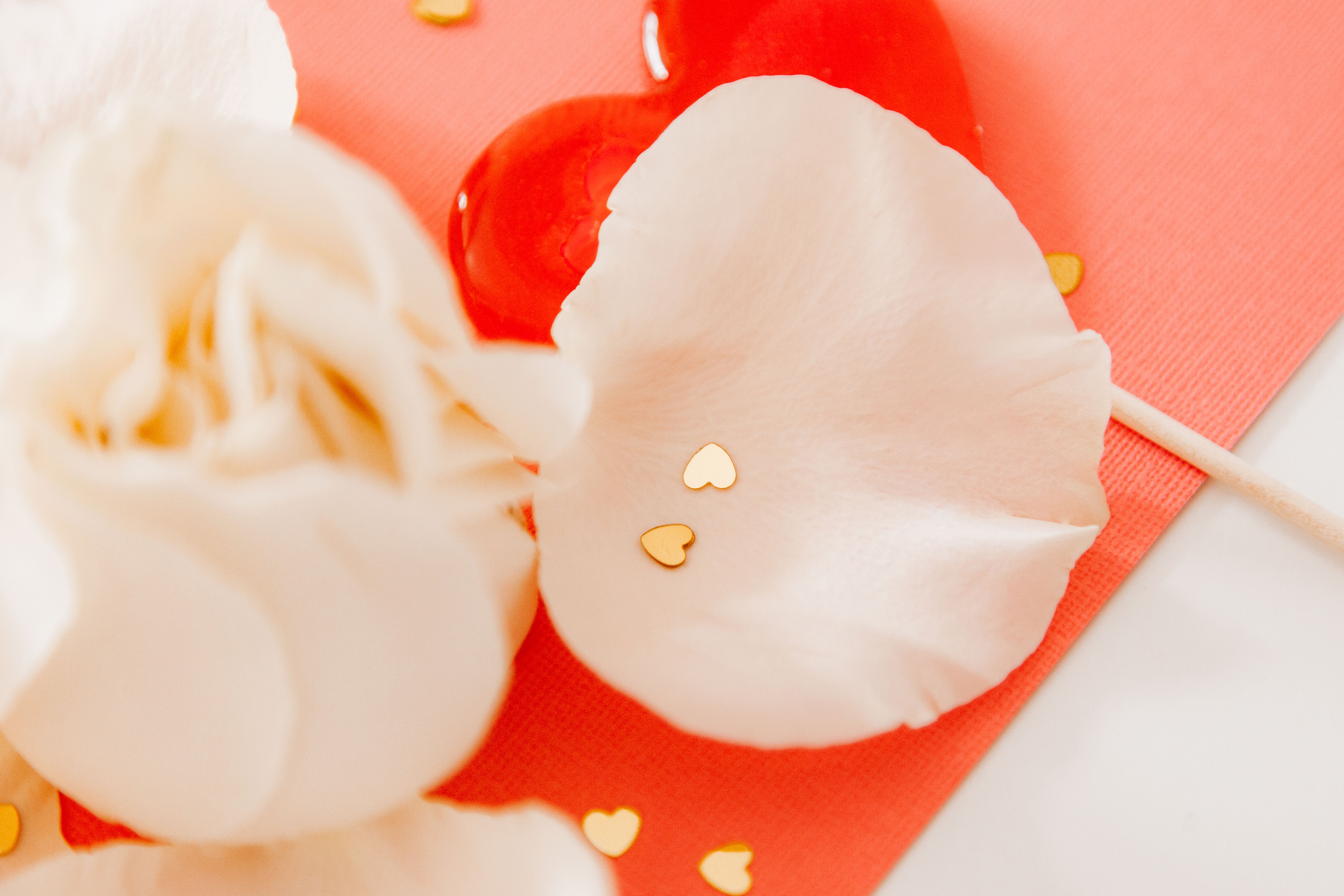 Close-up of heart-shaped lollipop with rose petals, sweet ambiance.
